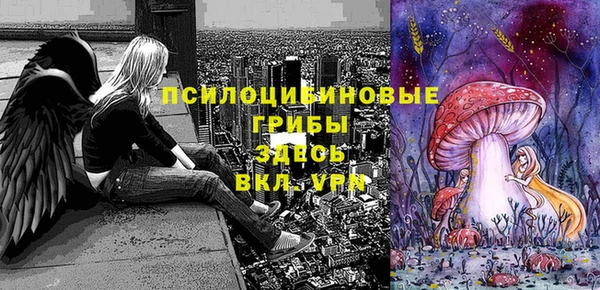 соль ск Бугульма